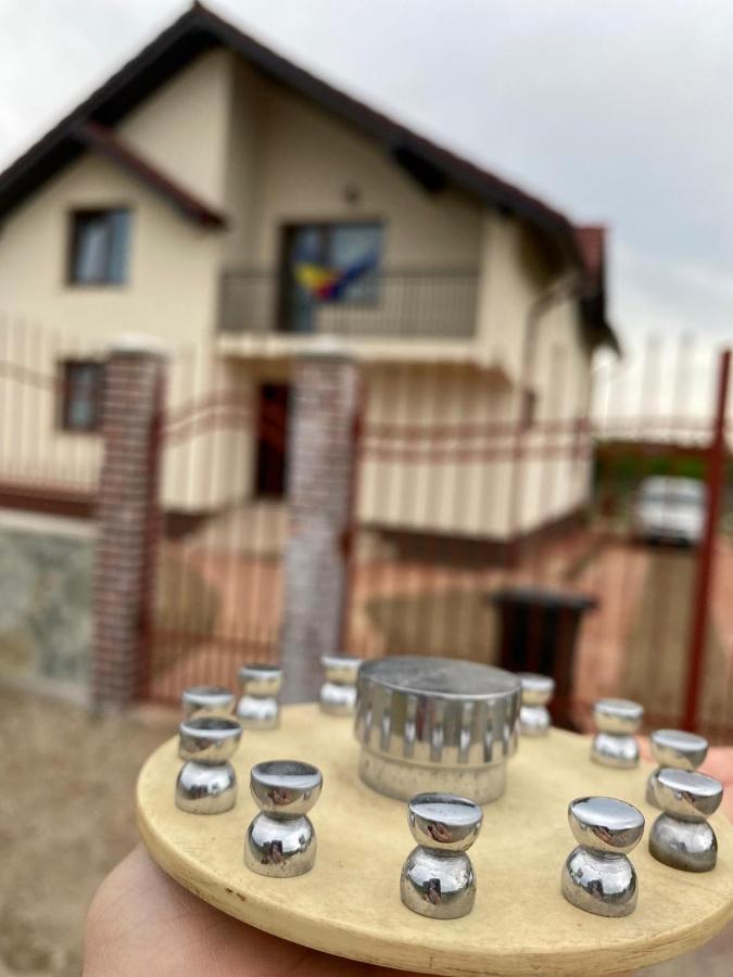 Casa Brancusiana Διαμέρισμα Târgu Jiu Εξωτερικό φωτογραφία