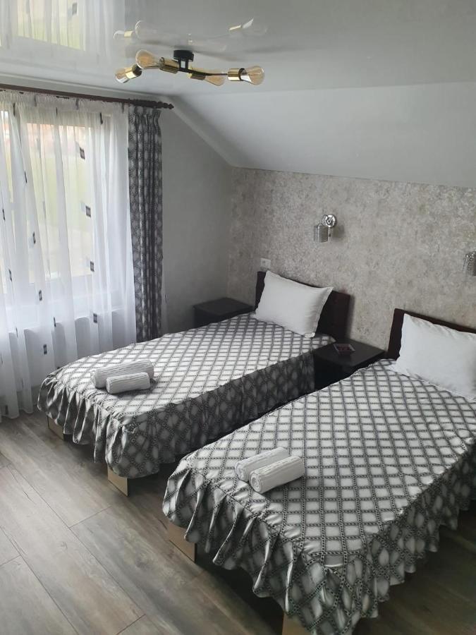 Casa Brancusiana Διαμέρισμα Târgu Jiu Εξωτερικό φωτογραφία