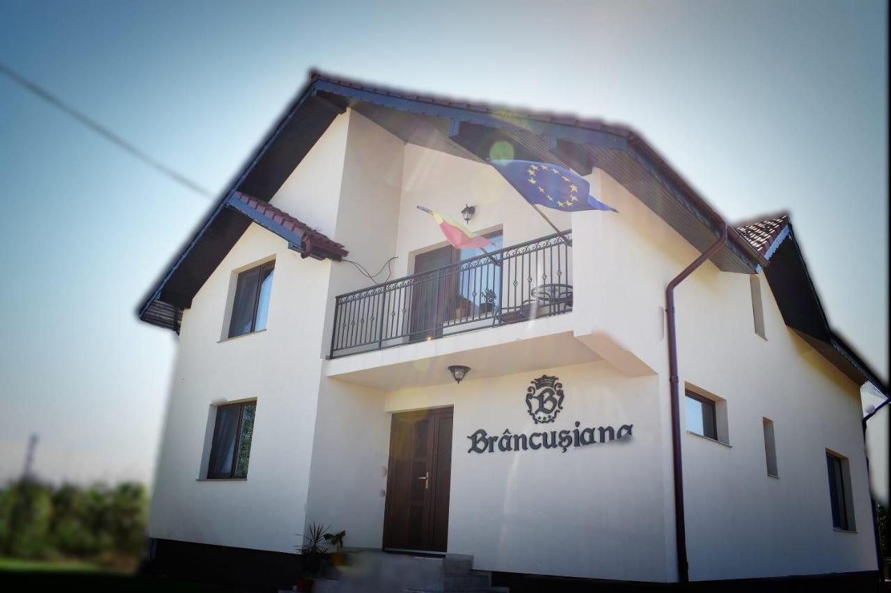 Casa Brancusiana Διαμέρισμα Târgu Jiu Εξωτερικό φωτογραφία