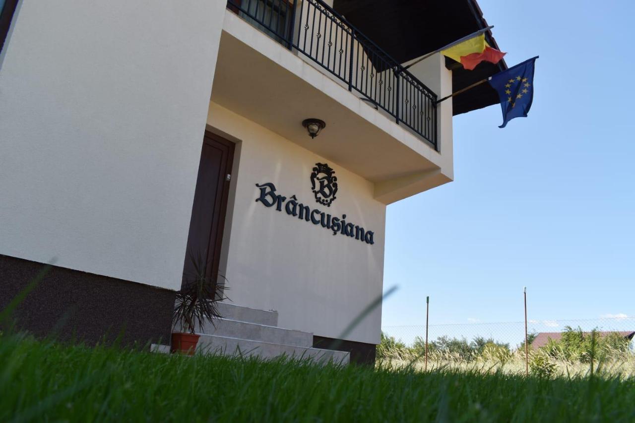Casa Brancusiana Διαμέρισμα Târgu Jiu Εξωτερικό φωτογραφία