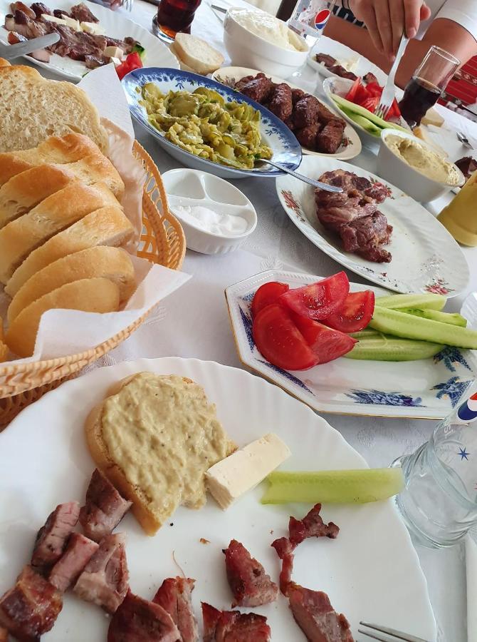 Casa Brancusiana Διαμέρισμα Târgu Jiu Εξωτερικό φωτογραφία
